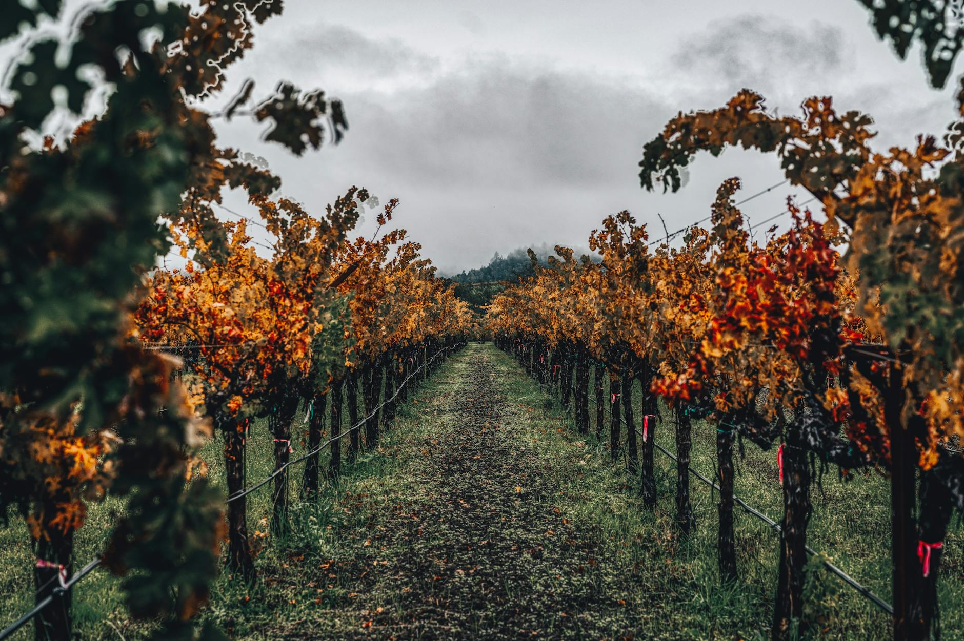 7 Wineries Every First-Time Visitor Should Experience