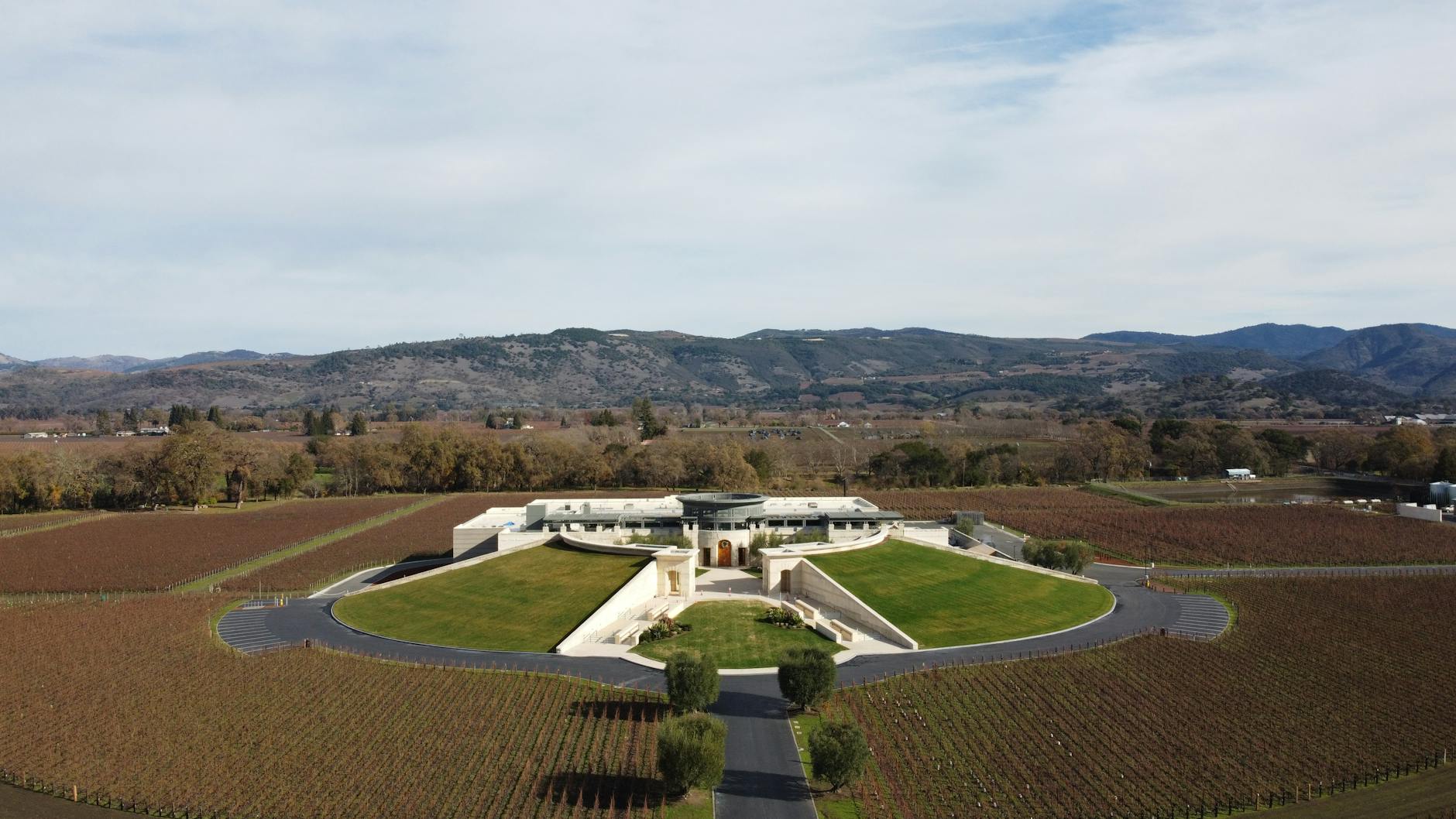 St. Helena winery lunch