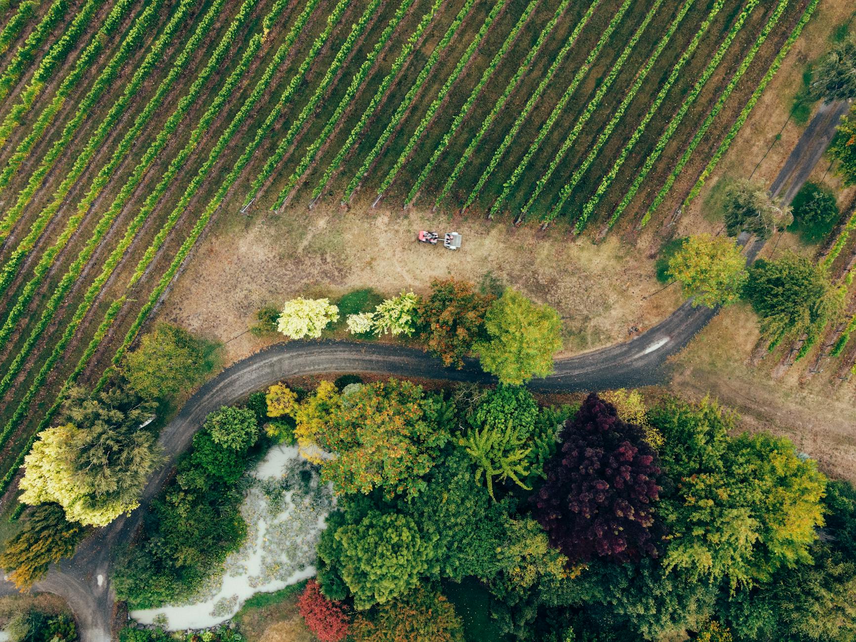 Stag's Leap Wine Cellars